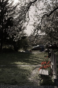 24-04-06-17-31-16-_DSC3600-8